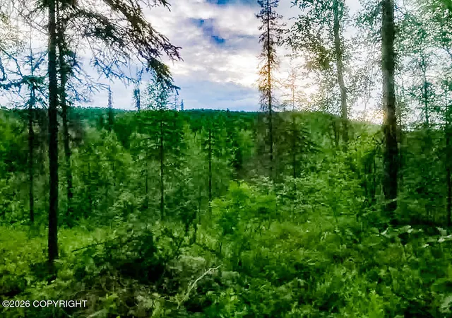 Photo 3 of Land for sale at Asls Papa Bear Lake Area, Talkeetna, AK 99676 | MLS# 26-9413 | Listing updated on 2026-07-28