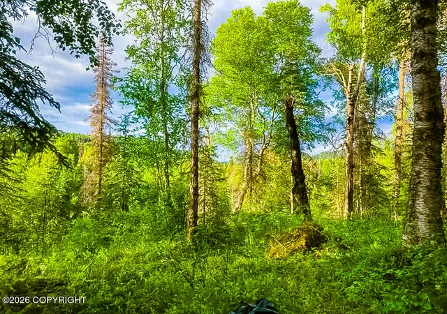 Photo 4 of Land for sale at Asls Papa Bear Lake Area, Talkeetna, AK 99676 | MLS# 26-9413 | Listing updated on 2026-07-28
