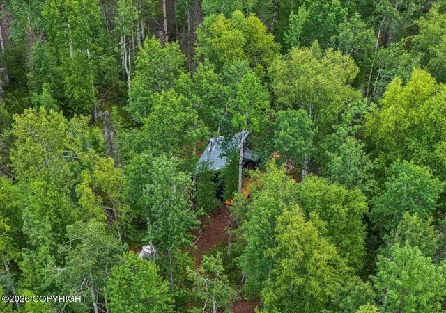 Photo 27 of Single family home for sale at 48761 S Silver Salmon Dr, Willow, AK 99688 | MLS# 26-9402 | Listing updated on 2026-08-13