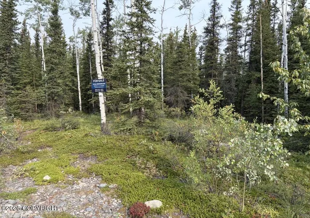 Photo 1 of Land for sale at Lot 4 Butch Kuth Ave, Tok, AK 99780 | MLS# 26-9433 | Listing updated on 2026-08-24