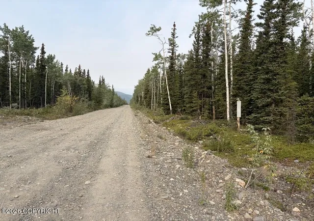 Photo 2 of Land for sale at Lot 4 Butch Kuth Ave, Tok, AK 99780 | MLS# 26-9433 | Listing updated on 2026-08-24