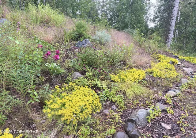 Photo 4 of Sale Pending at 14463 E Ian Tawney Dr, Willow, AK 99688 | MLS# 26-9679 | Listing updated on 2026-08-09