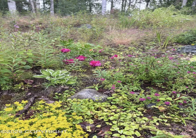 Photo 5 of Sale Pending at 14463 E Ian Tawney Dr, Willow, AK 99688 | MLS# 26-9679 | Listing updated on 2026-08-09