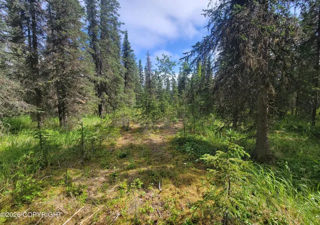 Photo 3 of Land for sale at 19290 Squirrel St, Kasilof, AK 99610 | MLS# 26-9768 | Listing updated on 2026-08-04