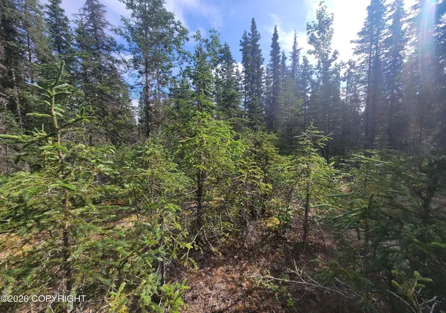 Photo 4 of Land for sale at 19290 Squirrel St, Kasilof, AK 99610 | MLS# 26-9768 | Listing updated on 2026-08-04
