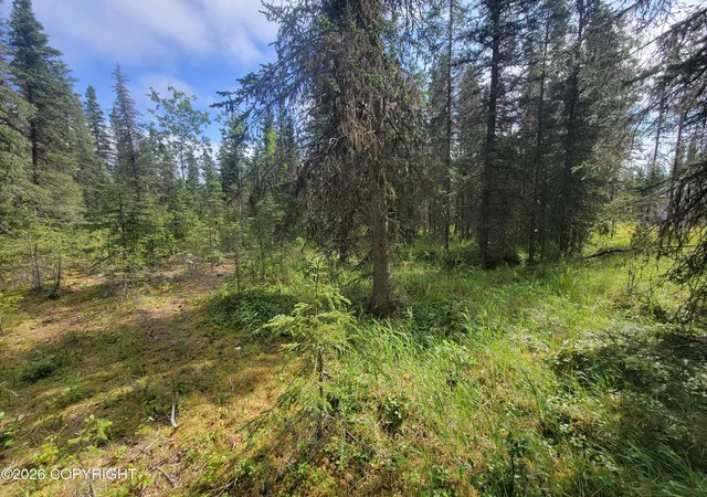 Photo 5 of Land for sale at 19290 Squirrel St, Kasilof, AK 99610 | MLS# 26-9768 | Listing updated on 2026-08-04