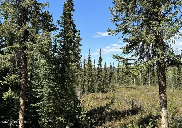 Photo 2 of Land for sale at 7412 Harding Dr, Salcha, AK 99714 | MLS# 26-9482 | Listing updated on 2026-09-24