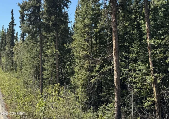 Photo 3 of Land for sale at 7412 Harding Dr, Salcha, AK 99714 | MLS# 26-9482 | Listing updated on 2026-09-24