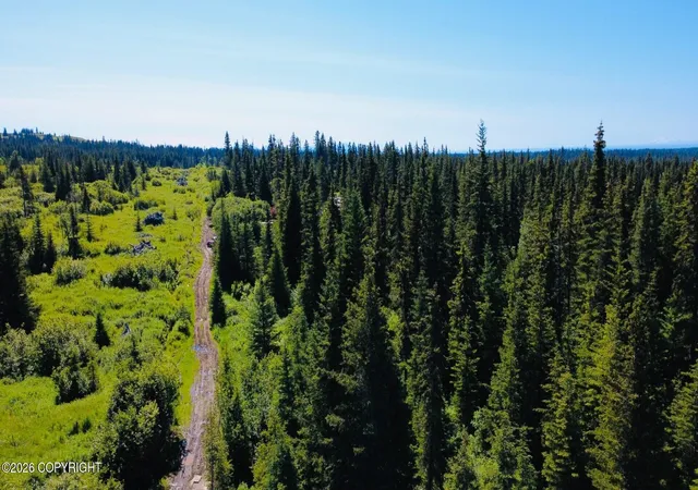 Photo 4 of Land for sale at 36110 Flintstone St, Anchor Point, AK 99556 | MLS# 26-9605 | Listing updated on 2026-08-03