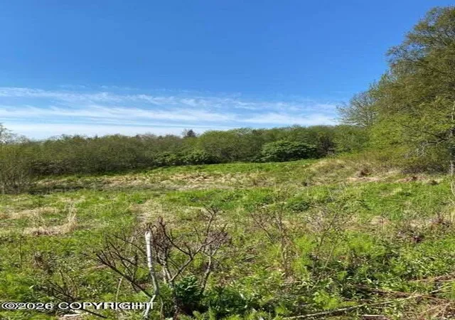 Photo 3 of Land for sale at 58150 S Glacier View Rd, Homer, AK 99603 | MLS# 26-9694 | Listing updated on 2026-08-30