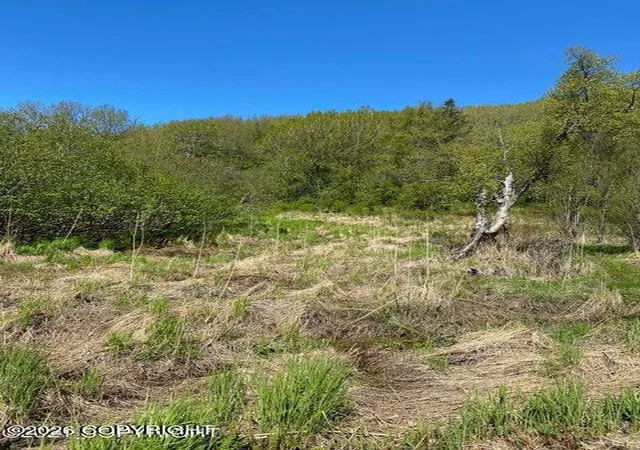 Photo 3 of Land for sale at 58150 S Glacier View Rd, Homer, AK 99603 | MLS# 26-9694 | Listing updated on 2026-08-30