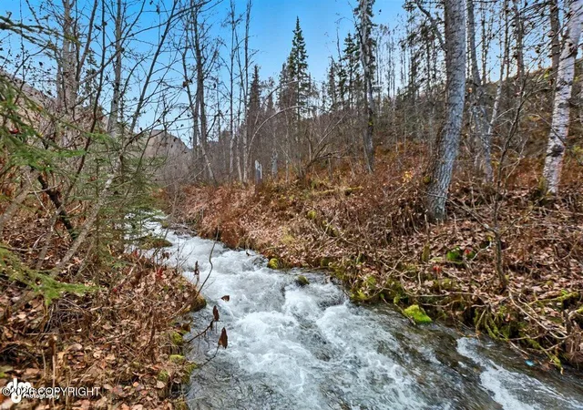Photo 56 of Single family home for sale at 18610 Sue Tawn Dr, Chugiak, AK 99567 | MLS# 26-9725 | Listing updated on 2026-09-03