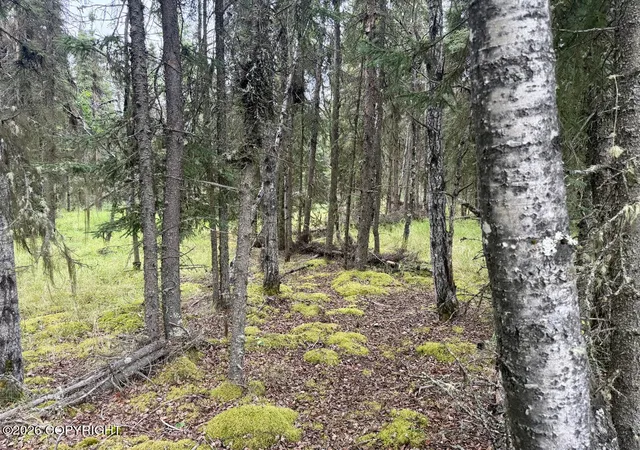 Photo 10 of Land for sale at 0 Mulligan St, Kasilof, AK 99610 | MLS# 26-10146 | Listing updated on 2026-08-26