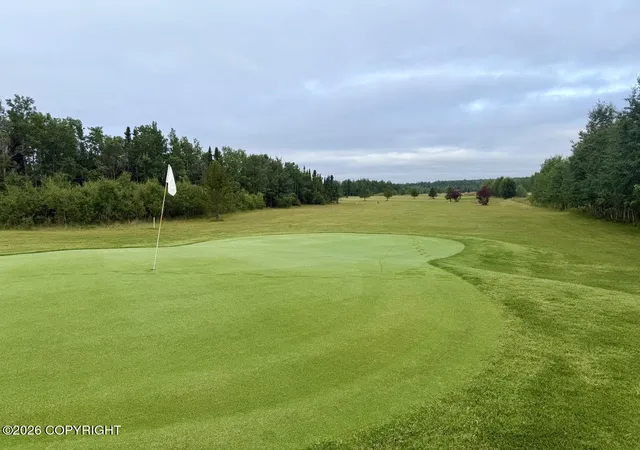 Photo 3 of Land for sale at 0 Mulligan St, Kasilof, AK 99610 | MLS# 26-10146 | Listing updated on 2026-08-26