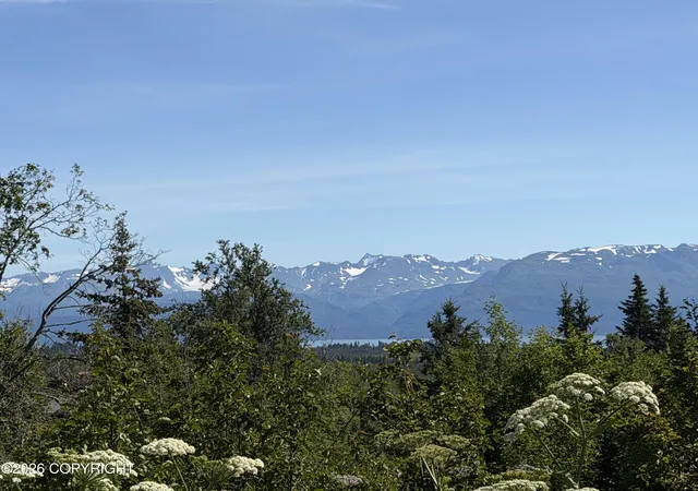 Photo 1 of Land for sale at 57715 Abbas Ct, Homer, AK 99603 | MLS# 26-9787 | Listing updated on 2026-08-04