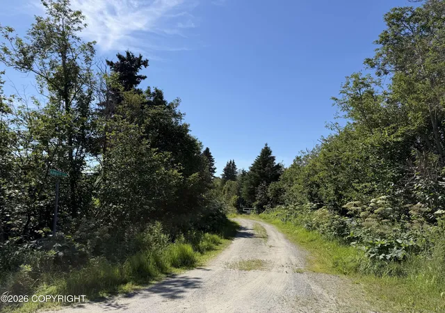 Photo 2 of Land for sale at 57715 Abbas Ct, Homer, AK 99603 | MLS# 26-9787 | Listing updated on 2026-08-04