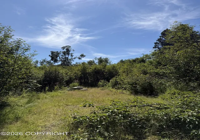 Photo 3 of Land for sale at 57715 Abbas Ct, Homer, AK 99603 | MLS# 26-9787 | Listing updated on 2026-08-04