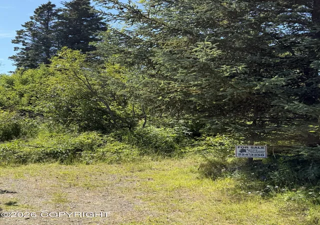 Photo 3 of Land for sale at 57715 Abbas Ct, Homer, AK 99603 | MLS# 26-9787 | Listing updated on 2026-08-04