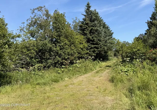 Photo 4 of Land for sale at 57715 Abbas Ct, Homer, AK 99603 | MLS# 26-9787 | Listing updated on 2026-08-04