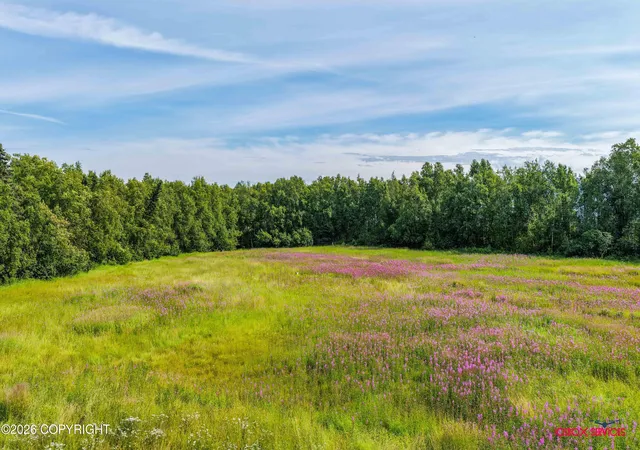 Photo 2 of Land for sale at 4459 W Sedlar Cir, Wasilla, AK 99623 | MLS# 26-9852 | Listing updated on 2026-08-05