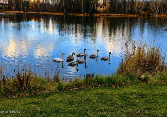 Photo 1 of Land for sale at 9732 W Stanley Dr, Wasilla, AK 99623 | MLS# 26-9838 | Listing updated on 2026-08-31