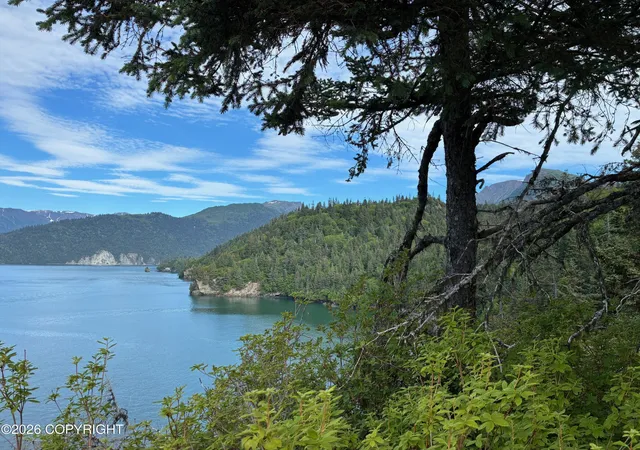 Photo 3 of Land for sale at 0 Halibut Cvs, Homer, AK 99603 | MLS# 26-9830 | Listing updated on 2026-08-21