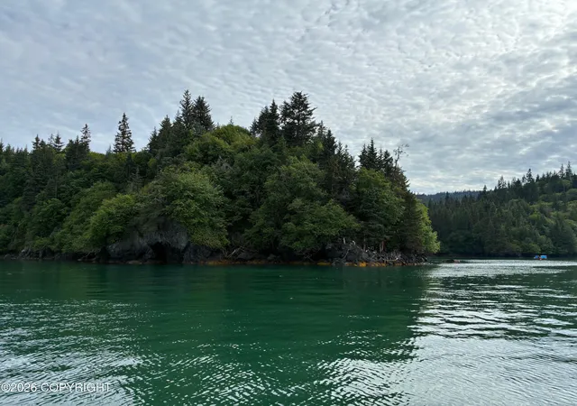 Photo 4 of Land for sale at 0 Halibut Cvs, Homer, AK 99603 | MLS# 26-9830 | Listing updated on 2026-08-21