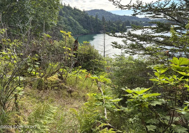 Photo 6 of Land for sale at 0 Halibut Cvs, Homer, AK 99603 | MLS# 26-9830 | Listing updated on 2026-08-21