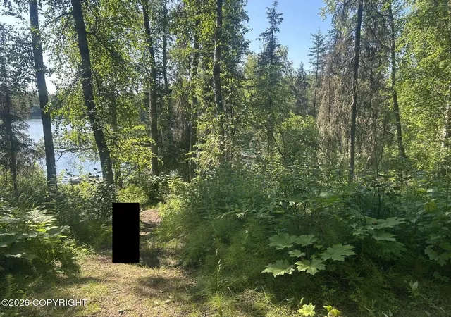 Photo 42 of Single family home for sale at 15800 E Shangrila Dr, Talkeetna, AK 99676 | MLS# 26-9833 | Listing updated on 2026-08-05