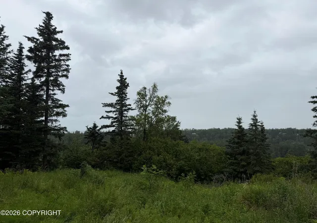 Photo 3 of Land for sale at 16502 Happy O Ave, Ninilchik, AK 99639 | MLS# 26-9845 | Listing updated on 2026-09-05