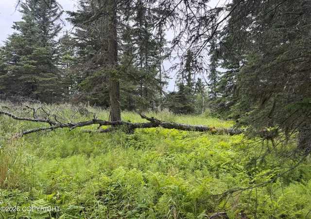Photo 3 of Land for sale at 16502 Happy O Ave, Ninilchik, AK 99639 | MLS# 26-9845 | Listing updated on 2026-09-05
