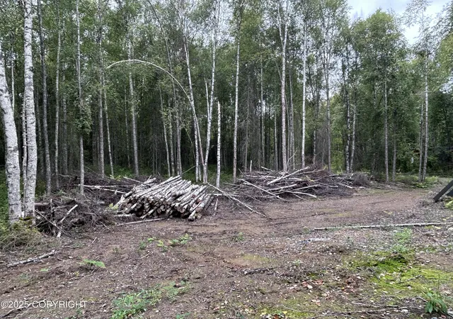 Photo 19 of Single family home for sale at 17172 E Trapper George Cir, Talkeetna, AK 99676 | MLS# 26-9840 | Listing updated on 2026-08-26