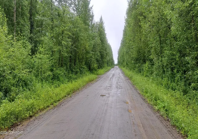 Photo 3 of Land for sale at 32687 S Mt Hunter, Talkeetna, AK 99676 | MLS# 26-10022 | Listing updated on 2026-08-25