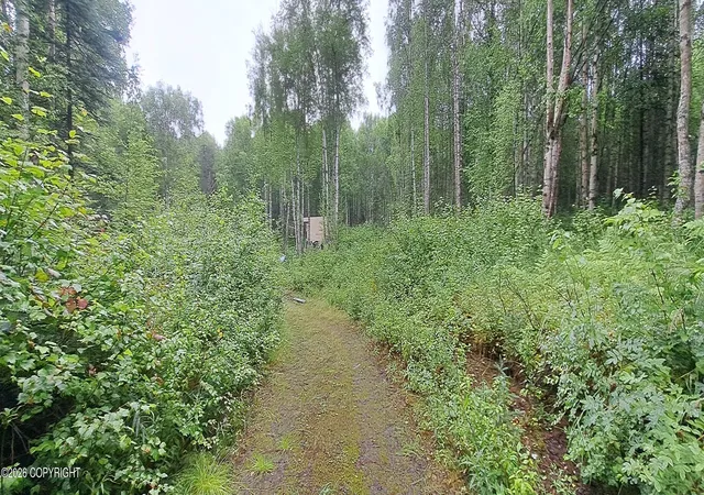 Photo 4 of Land for sale at 32687 S Mt Hunter, Talkeetna, AK 99676 | MLS# 26-10022 | Listing updated on 2026-08-25