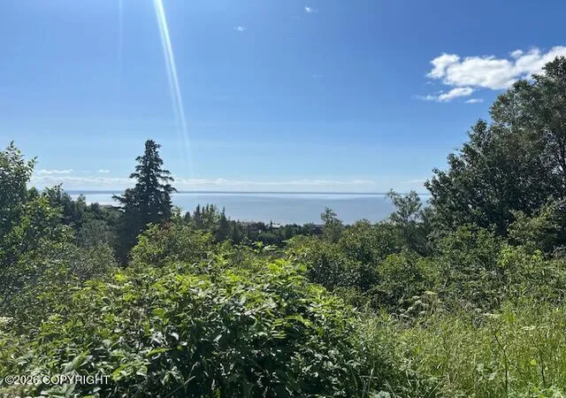Land for sale at L16 B9 Romania Dr, Anchorage, AK 99516 | MLS# 26-10252