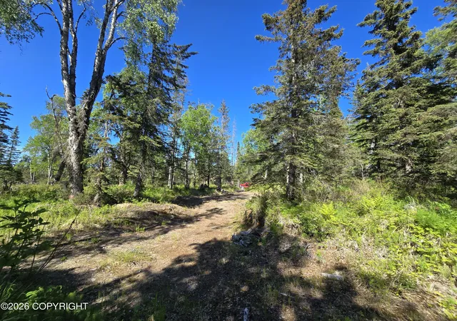 Photo 26 of Land for sale at 53871 Izigan Ave, Kenai, AK 99611 | MLS# 26-10003 | Listing updated on 2026-08-07