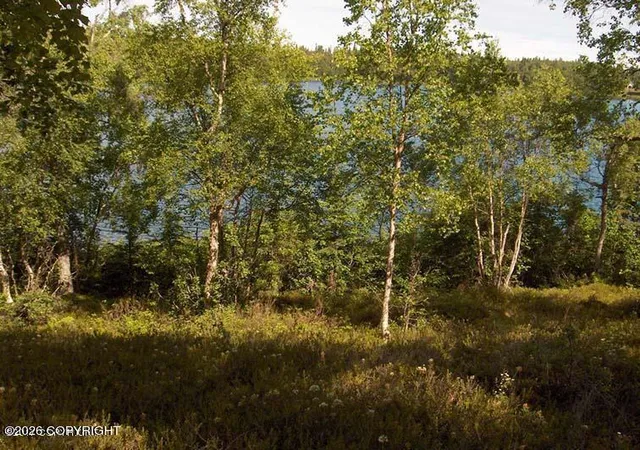 Photo 4 of Land for sale at L2a Teal Ct, Nikiski/north Kenai, AK 99635 | MLS# 26-9991 | Listing updated on 2026-08-07