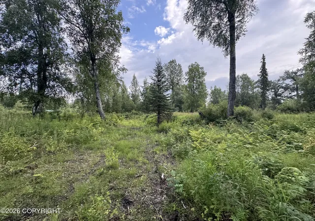 Photo 1 of Land for sale at 11360 E Wolf Trl, Trapper Creek, AK 99683 | MLS# 26-10184 | Listing updated on 2026-08-12