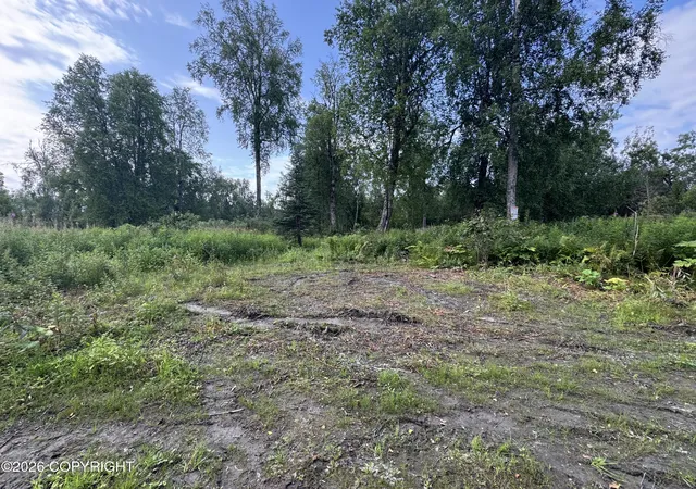 Photo 24 of Land for sale at 11360 E Wolf Trl, Trapper Creek, AK 99683 | MLS# 26-10184 | Listing updated on 2026-08-12