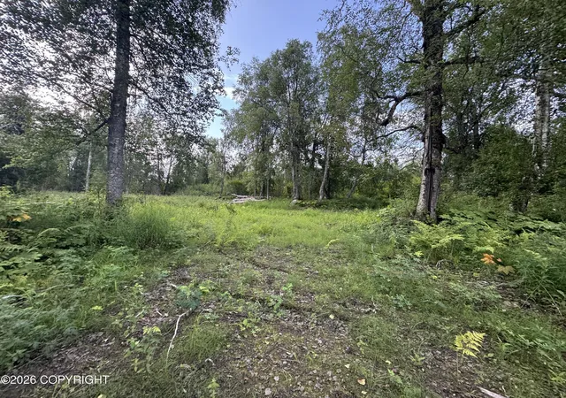 Photo 2 of Land for sale at 11360 E Wolf Trl, Trapper Creek, AK 99683 | MLS# 26-10184 | Listing updated on 2026-08-12