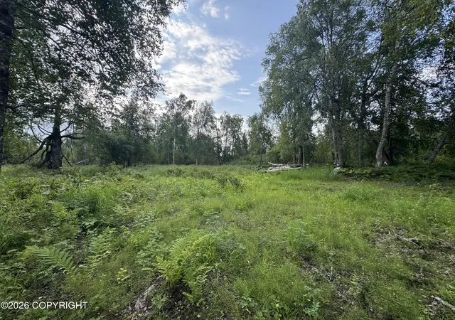 Photo 3 of Land for sale at 11360 E Wolf Trl, Trapper Creek, AK 99683 | MLS# 26-10184 | Listing updated on 2026-08-12
