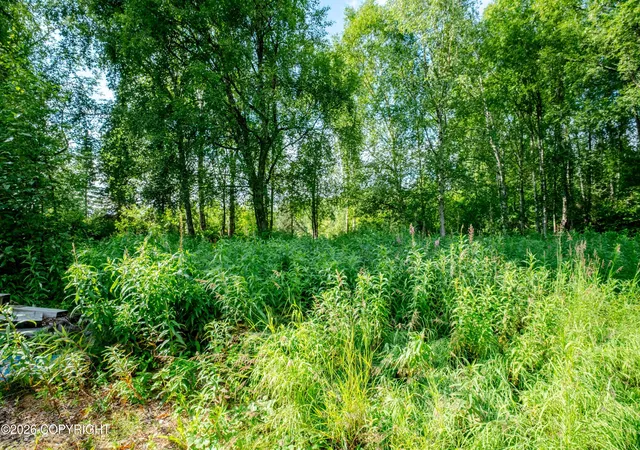 Photo 4 of Land for sale at 9412 N Sue Dr, Willow, AK 99688 | MLS# 26-10082 | Listing updated on 2026-08-10