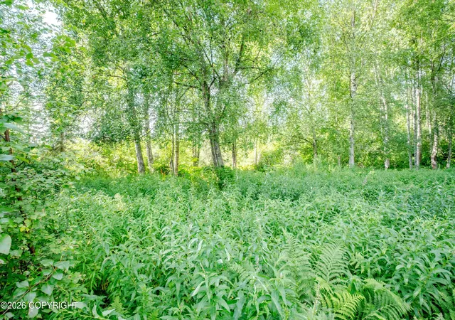 Photo 5 of Land for sale at 9412 N Sue Dr, Willow, AK 99688 | MLS# 26-10082 | Listing updated on 2026-08-10