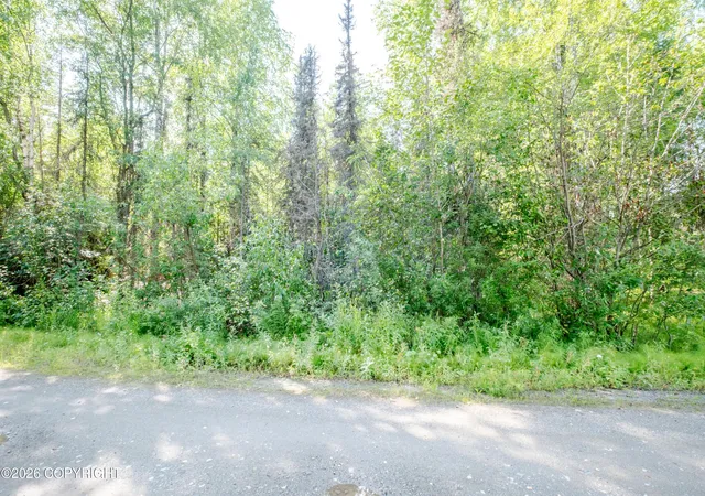 Photo 9 of Land for sale at 9412 N Sue Dr, Willow, AK 99688 | MLS# 26-10082 | Listing updated on 2026-08-10