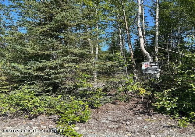 Photo 3 of Land for sale at 21247 W Dublin Ct, Big Lake, AK 99652 | MLS# 26-10129 | Listing updated on 2026-08-17