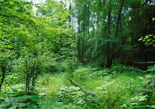 Photo 1 of Land for sale at 15032 W Necrason Dr, Big Lake, AK 99652 | MLS# 26-10140 | Listing updated on 2026-08-11
