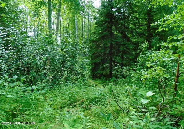 Photo 4 of Land for sale at 15032 W Necrason Dr, Big Lake, AK 99652 | MLS# 26-10140 | Listing updated on 2026-08-11