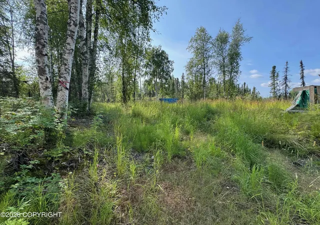 Photo 5 of Land for sale at 11396 W Cattail Cir, Big Lake, AK 99652 | MLS# 26-10143 | Listing updated on 2026-08-11
