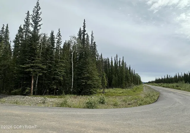 Photo 1 of Land for sale at L1 B7 Borealis & Mackenzie Rd, Tok, AK 99780 | MLS# 26-10236 | Listing updated on 2026-08-12