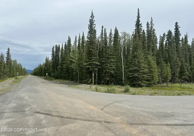 Photo 2 of Land for sale at L1 B7 Borealis & Mackenzie Rd, Tok, AK 99780 | MLS# 26-10236 | Listing updated on 2026-08-12